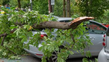 Bad weather brought floods and trees fell on cars: you may be entitled to compensation if you do this