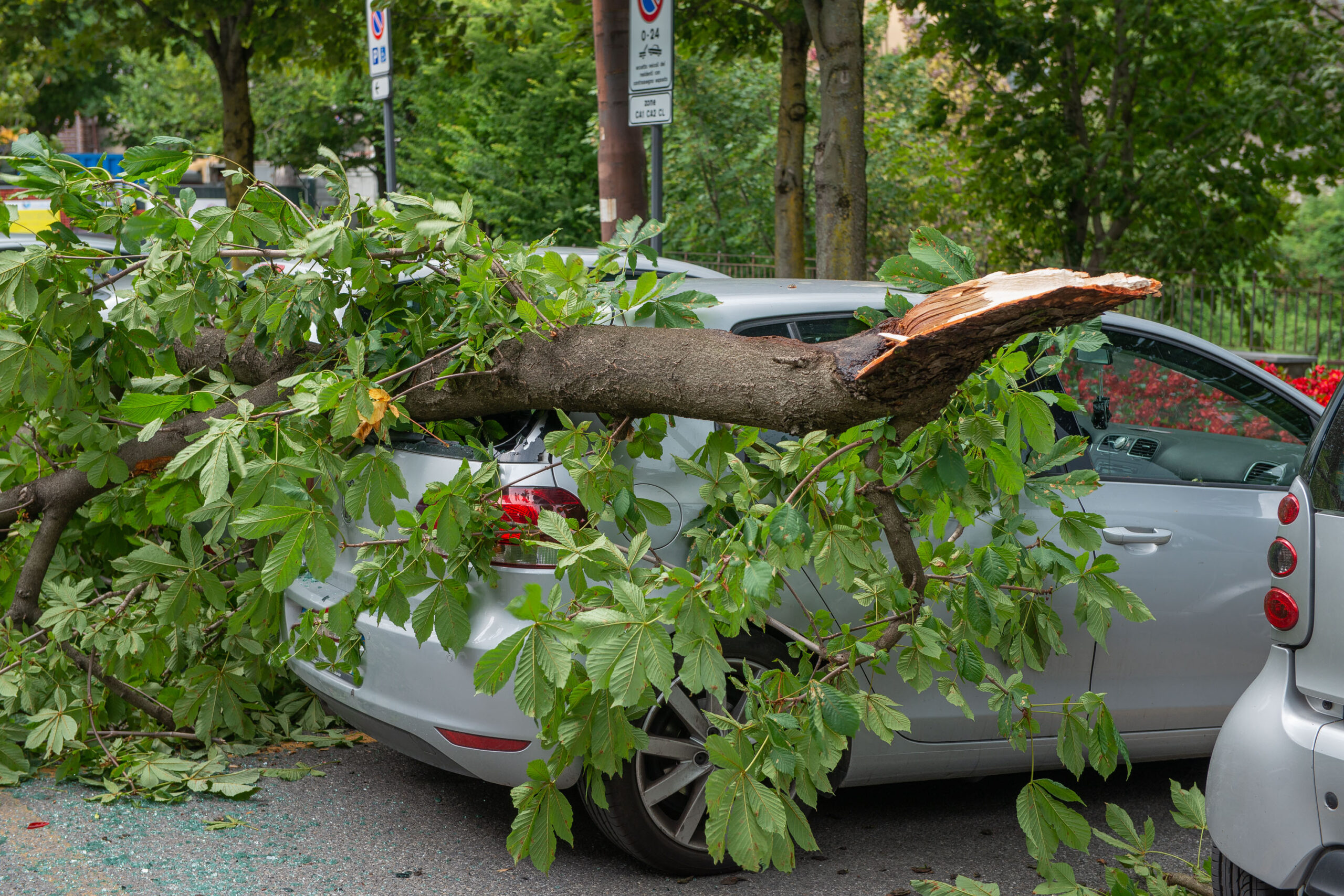 Bad weather brought floods and trees fell on cars: you may be entitled to compensation if you do this