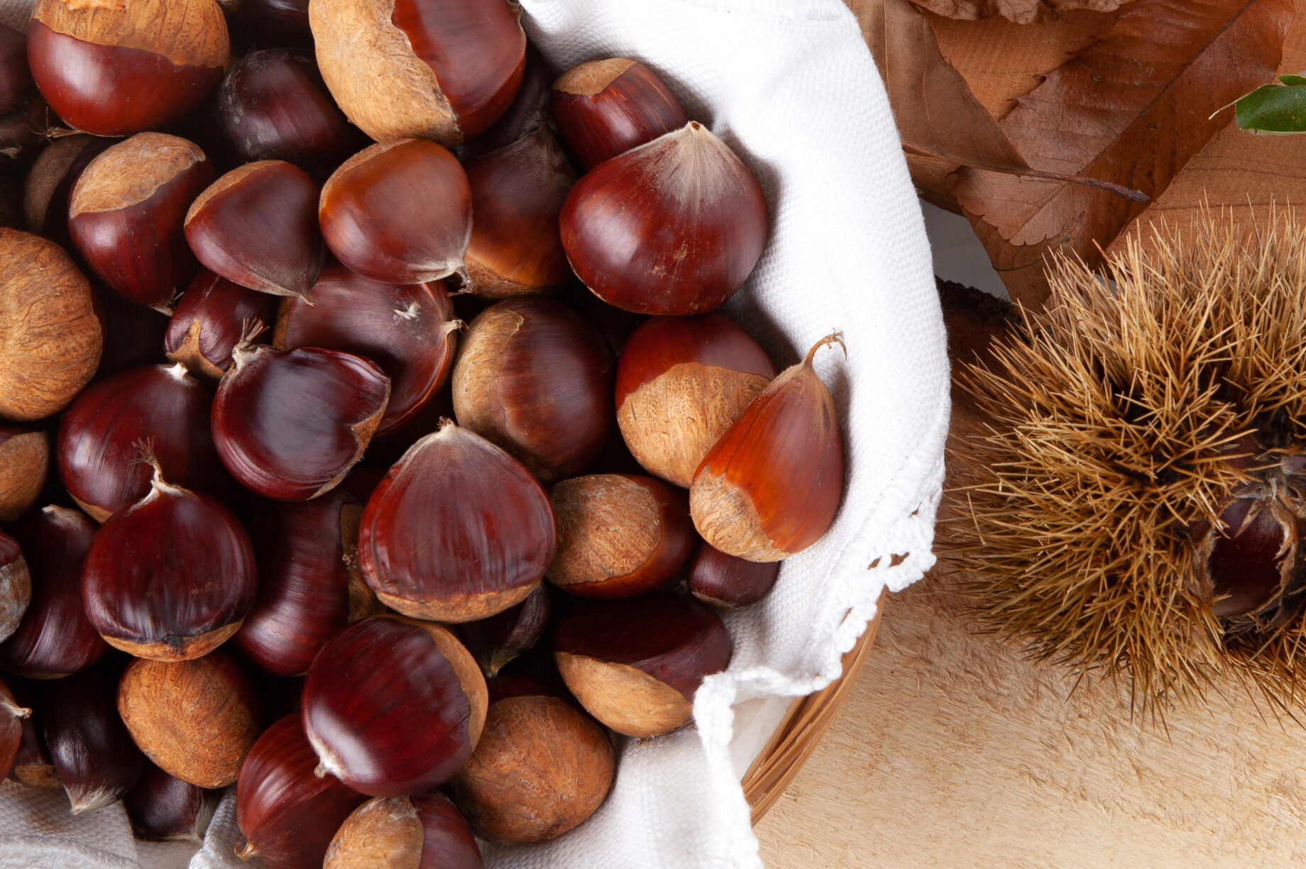 Albufeira celebrates São Martinho with magustos and festive activities in all parishes