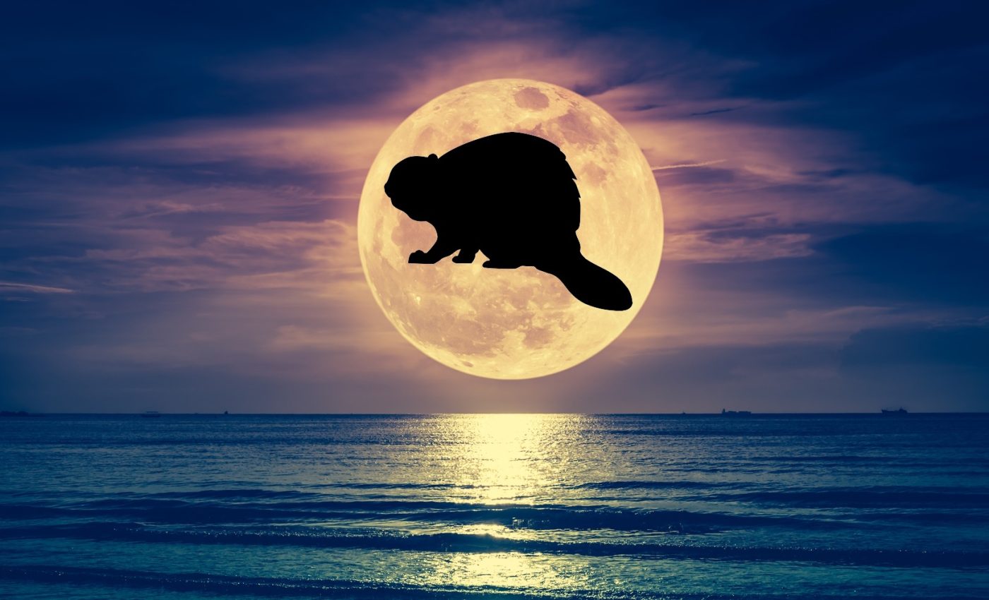 Horoscope November 5, 2025, Full Moon in Taurus. What the BRIGHTEST full moon of the year brings us