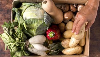 Tavira promotes a visit to Quinta Maria Flaminga to promote organic farming and the Mediterranean Diet