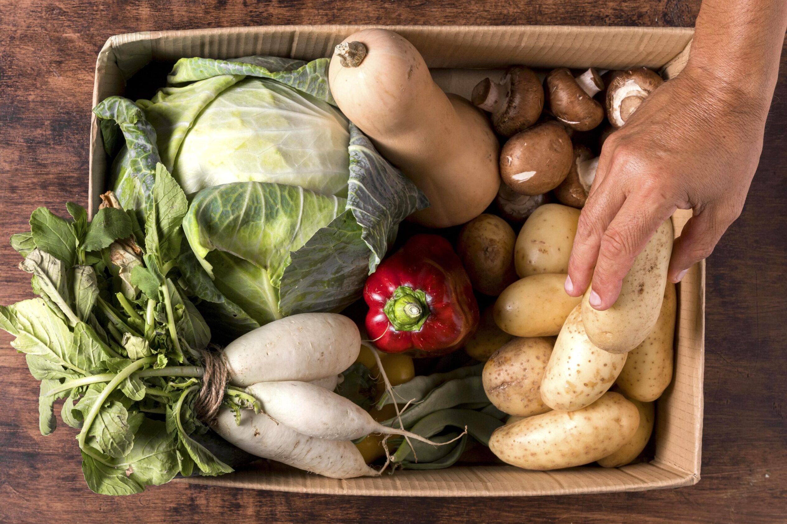 Tavira promotes a visit to Quinta Maria Flaminga to promote organic farming and the Mediterranean Diet