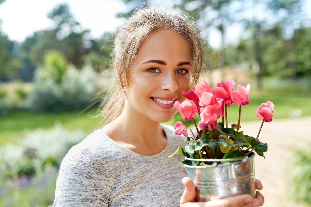 woman with pink cyclamen in pot