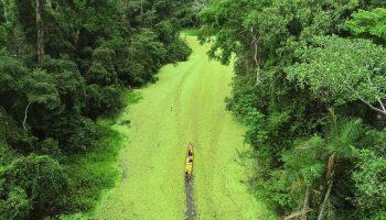 Six tourist experiences in Acre are presented in the Get to Know Brazil Catalog at COP30