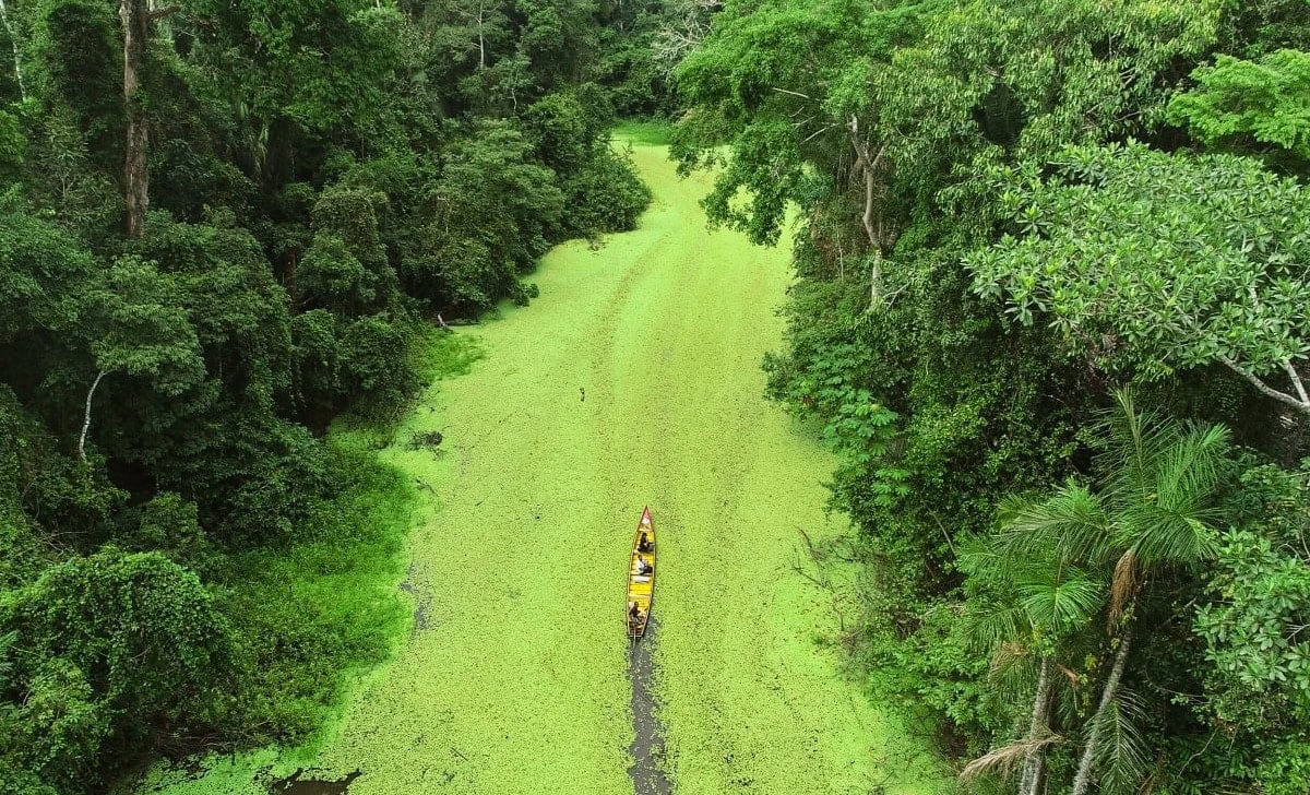 Six tourist experiences in Acre are presented in the Get to Know Brazil Catalog at COP30