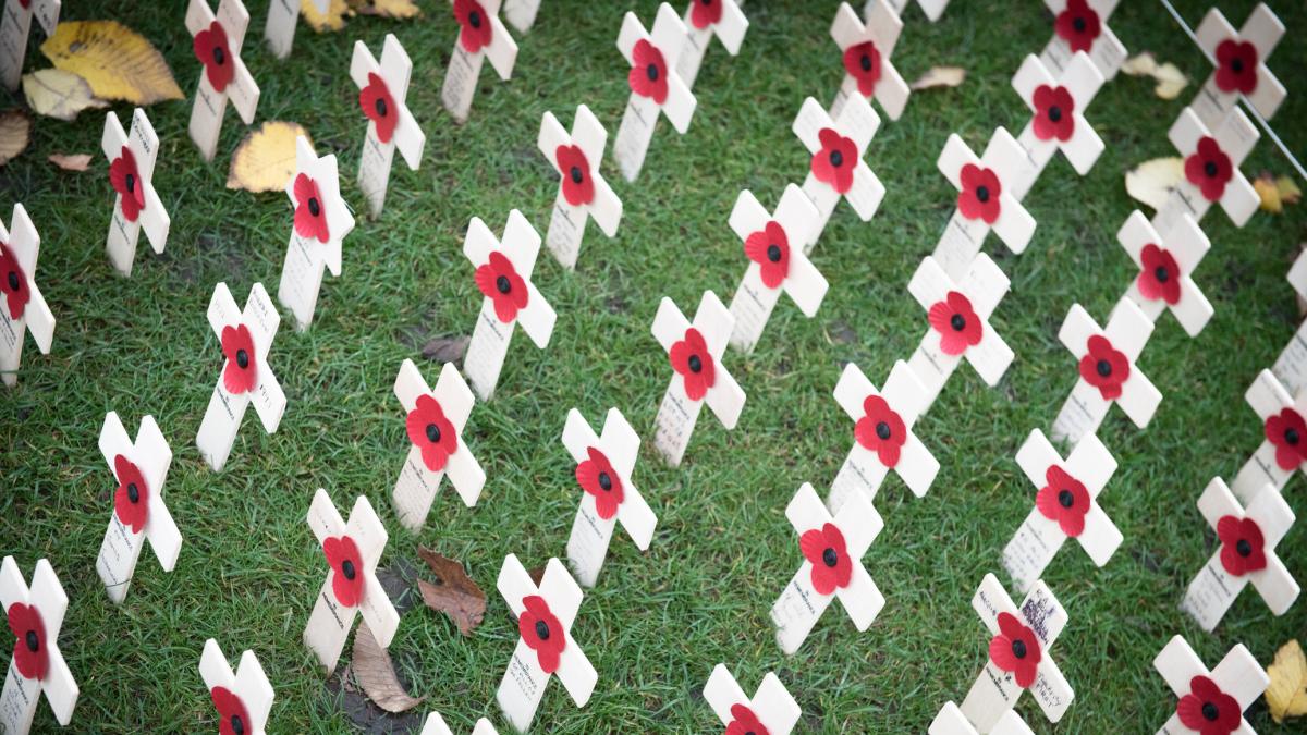 Armistice Day, Poppy Day: why do they commemorate the world wars?