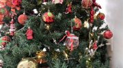 Safe Christmas decoration: Energisa warns against accidents