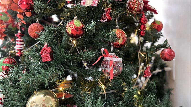 Safe Christmas decoration: Energisa warns against accidents