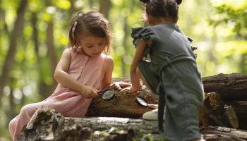 Bloom Movement wants children to climb trees