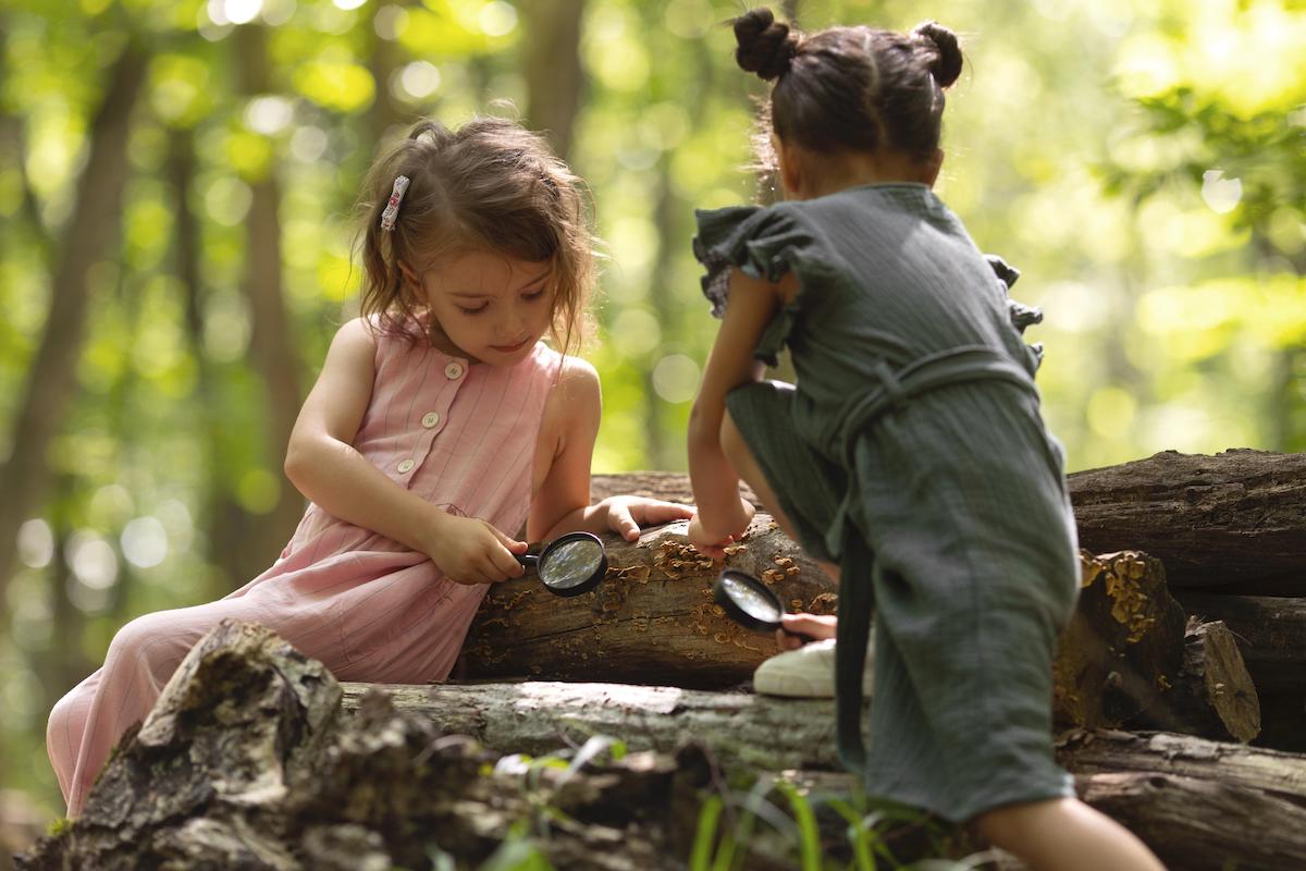 Bloom Movement wants children to climb trees