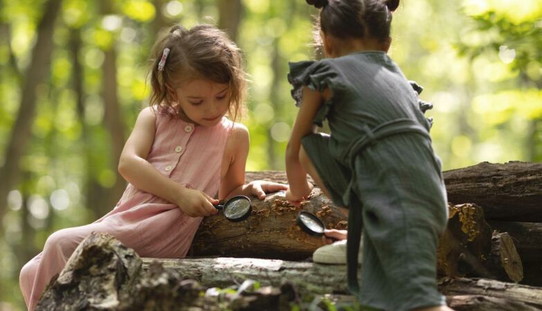 Bloom Movement wants children to climb trees