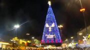 Dortmund celebrates the tallest Christmas tree in the world… but Ermesinde surpasses the mark