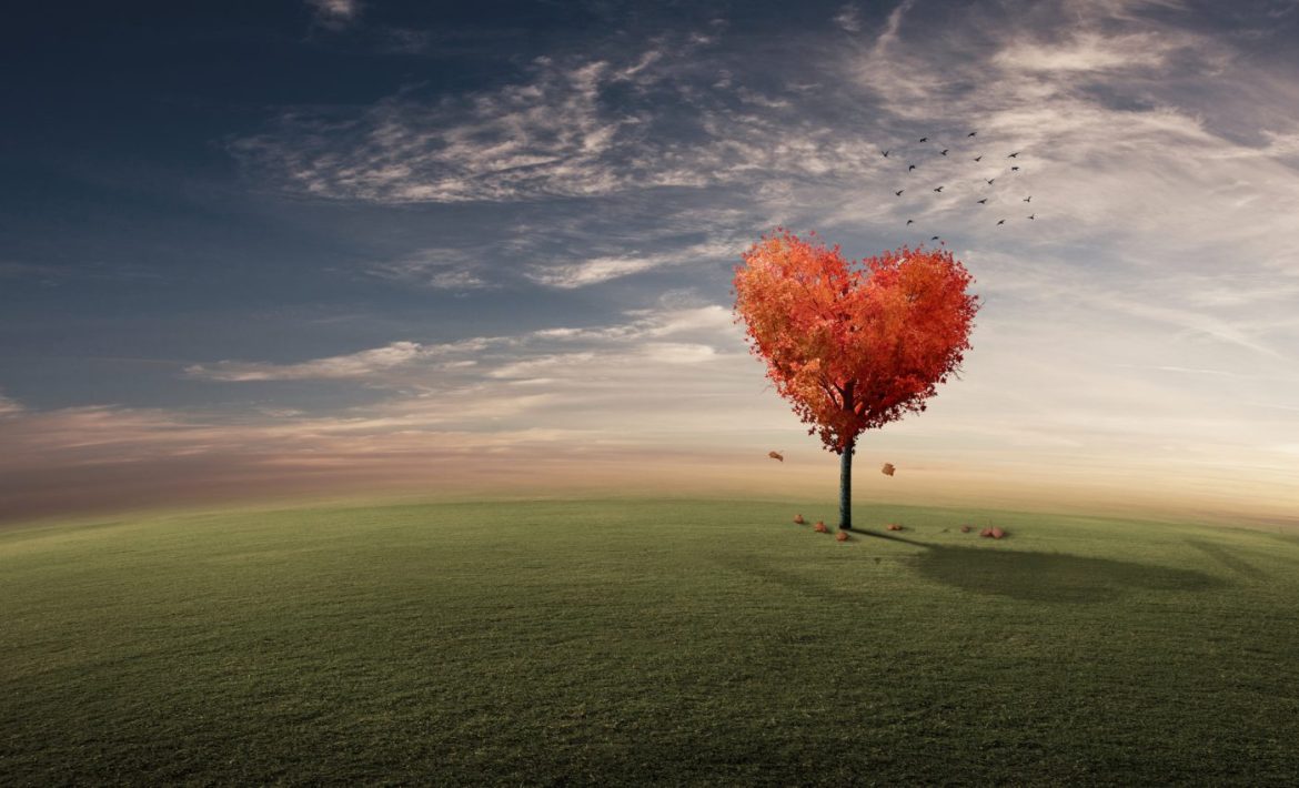 Deep LOVE arrives for these 5 SIGNS in NOVEMBER 2025
