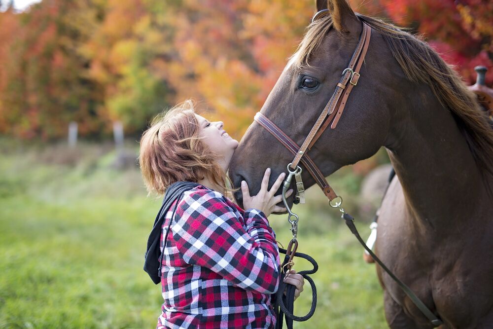 Dogs, cats, cattle, horses. How they became our friends