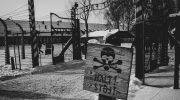 Grok: Musk's chatbot deceives user about the use of Zyklon B in Auschwitz