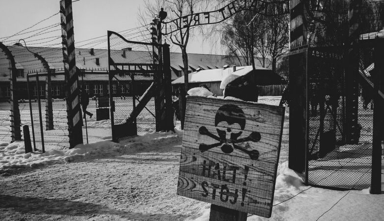 Grok: Musk's chatbot deceives user about the use of Zyklon B in Auschwitz