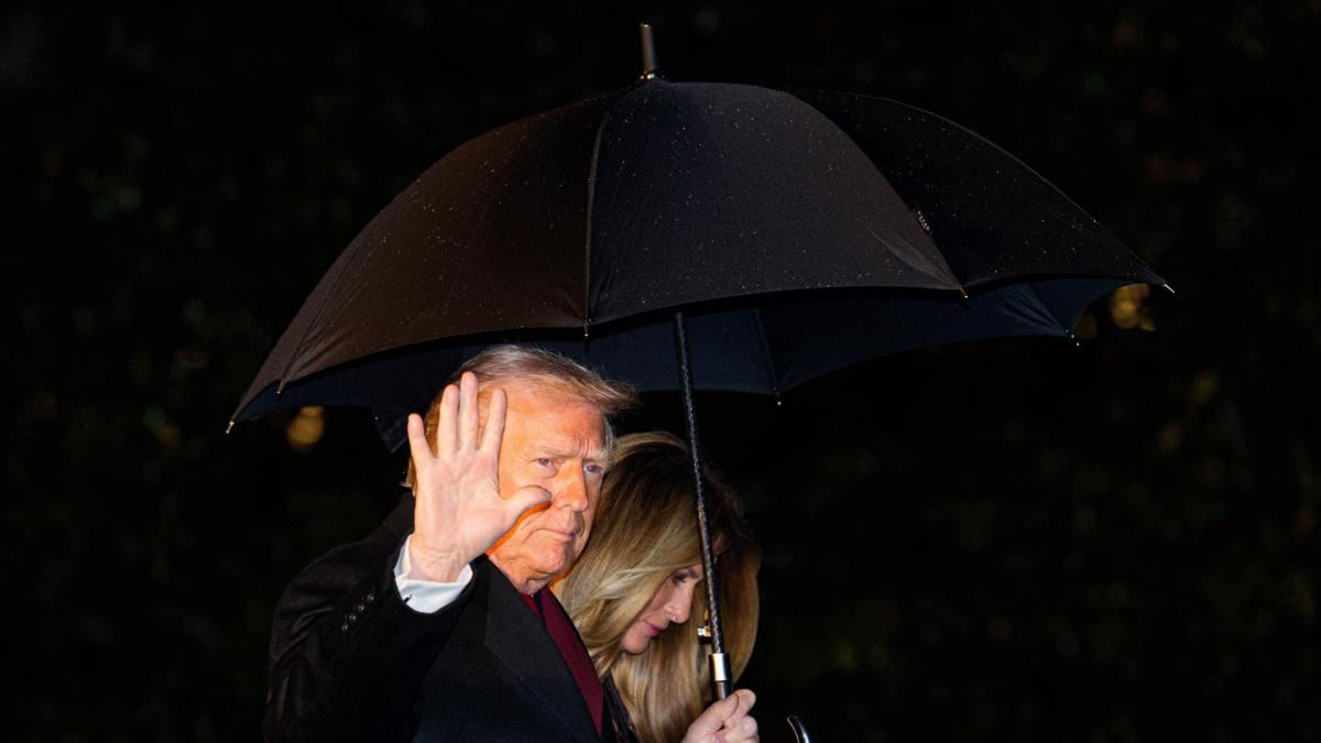 Trump puts on the brakes: 'forgets' his ultimatum and reopens negotiations with kyiv and Moscow