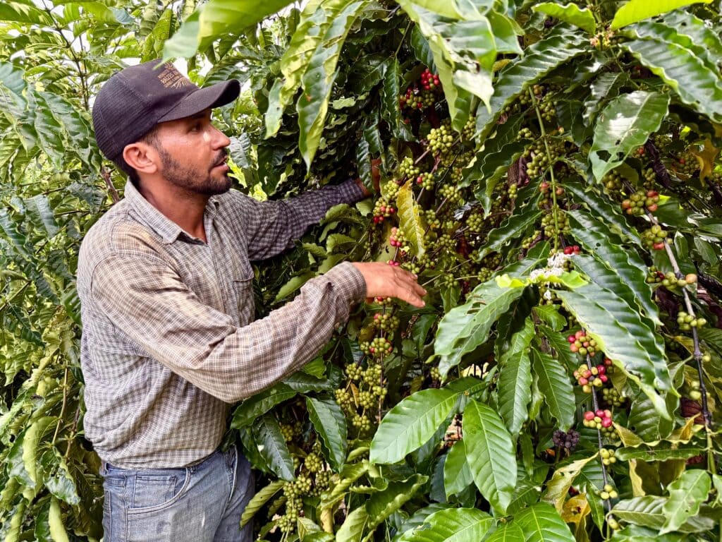 Representing: Acre producer will speak at international coffee event