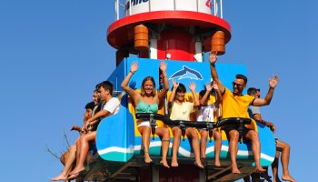 Black Friday arrives at Zoomarine with promotions on tickets and marine experiences