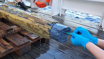 Scientists have detected mysterious signs of life in dangerous blue volcanic goo