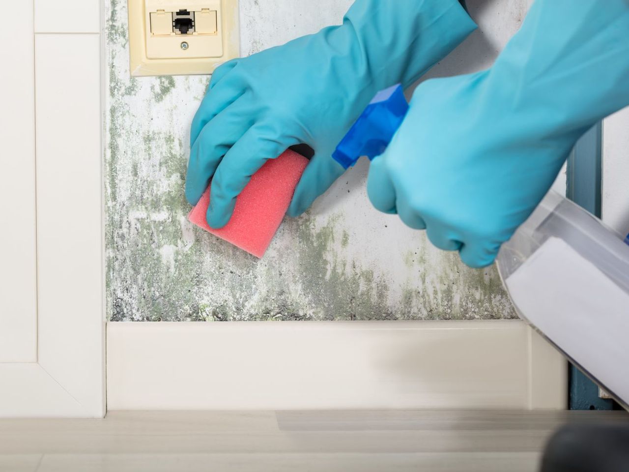 Fungus and mold in the house Mix with hydrogen peroxide and spray the mold on the wall. He'll eat her out in 20 minutes. How to get rid of mold on the wall