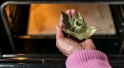 Clever tips Put 5 leaves in the oven and magic will happen in your home! For many hours, the beautiful scent will spread not only around the kitchen. A free way to naturally scent your home