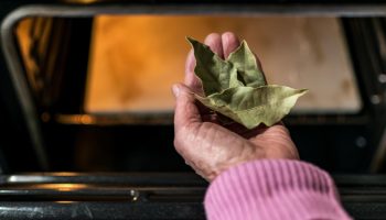 Clever tips Put 5 leaves in the oven and magic will happen in your home! For many hours, the beautiful scent will spread not only around the kitchen. A free way to naturally scent your home
