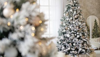 Christmas 2025 The most beautiful inspirations for decorating the Christmas tree in 2025. The whole family will envy you a tree decorated like this. How to decorate a Christmas tree?