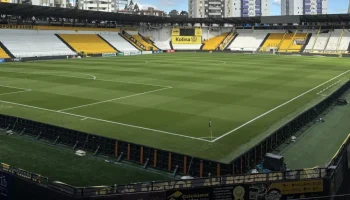Criciúma x Botafogo-SP AO VIVO: link para assistir online (16/11) image