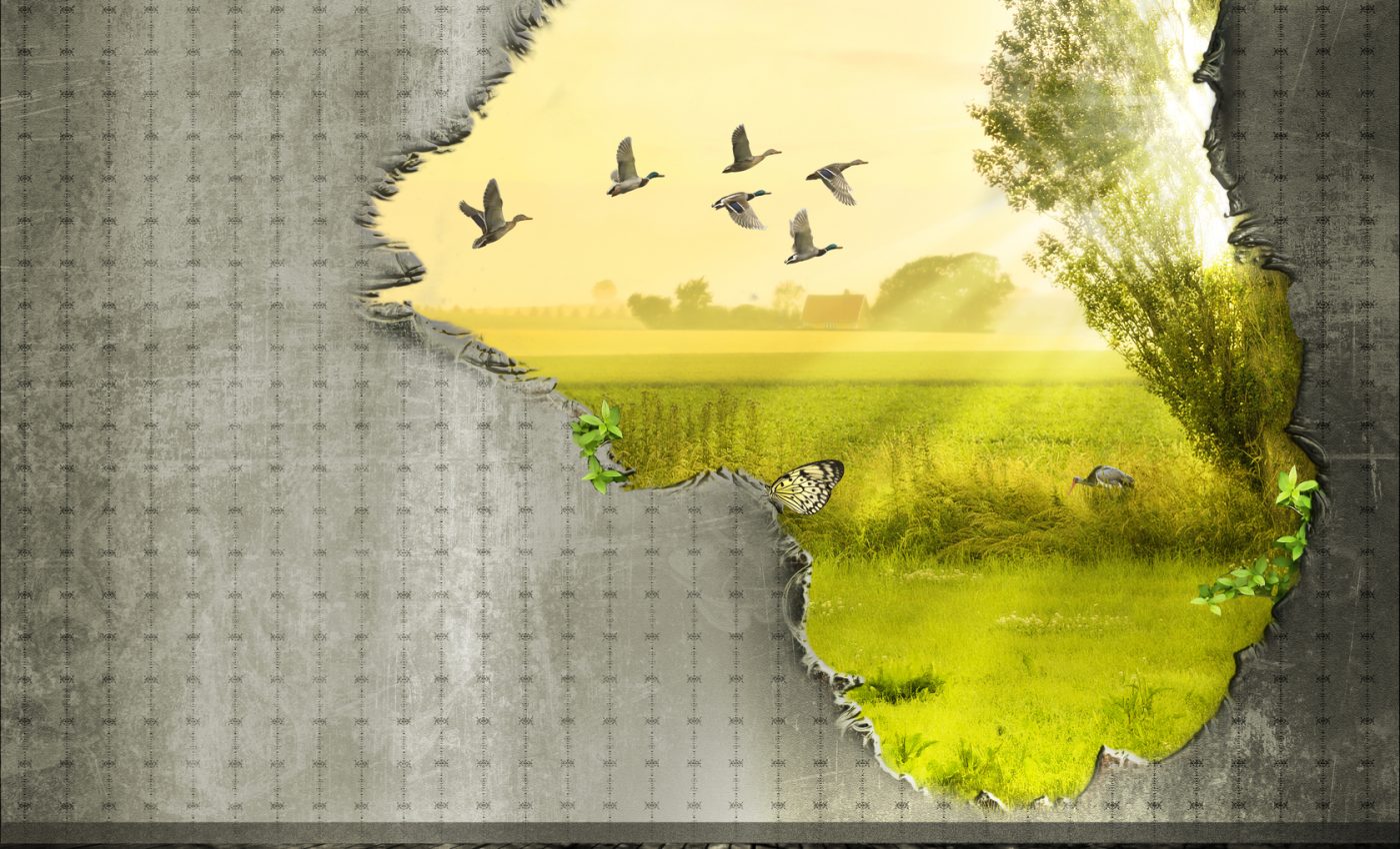 Horoscope NOVEMBER 2025: 4 SIGNS overcoming a big DISAPPOINTMENT in the last autumn month