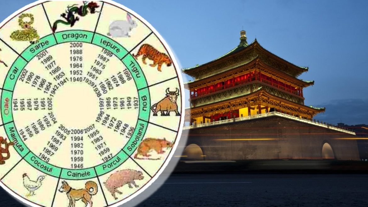 Chinese Zodiac November 13, 2025. Chinese sign getting big news today

