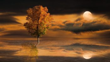 Horoscope November 27, 2025. Crossroads for one sign, job challenges for another and many holiday plans