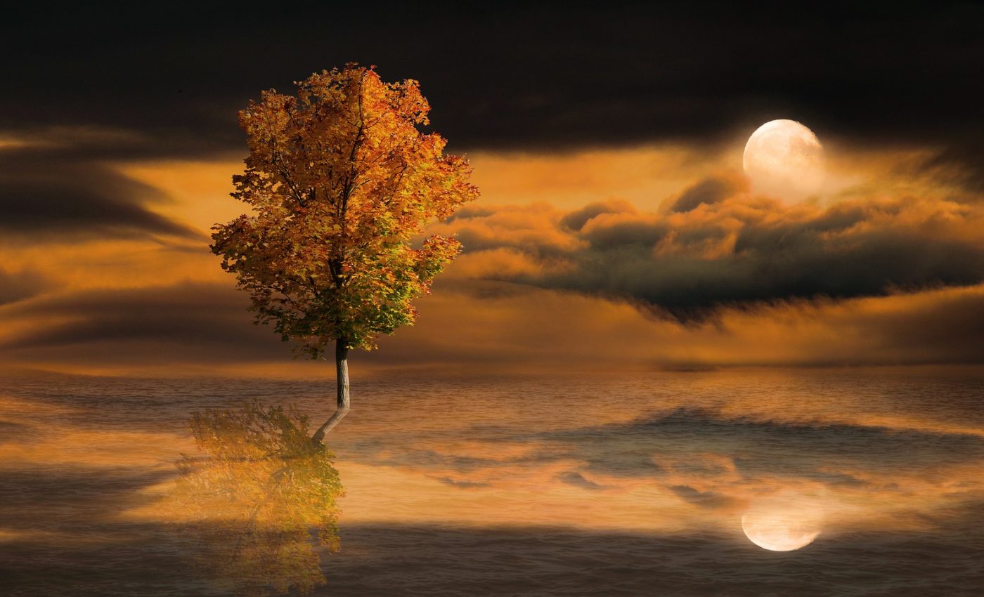 Horoscope November 27, 2025. Crossroads for one sign, job challenges for another and many holiday plans