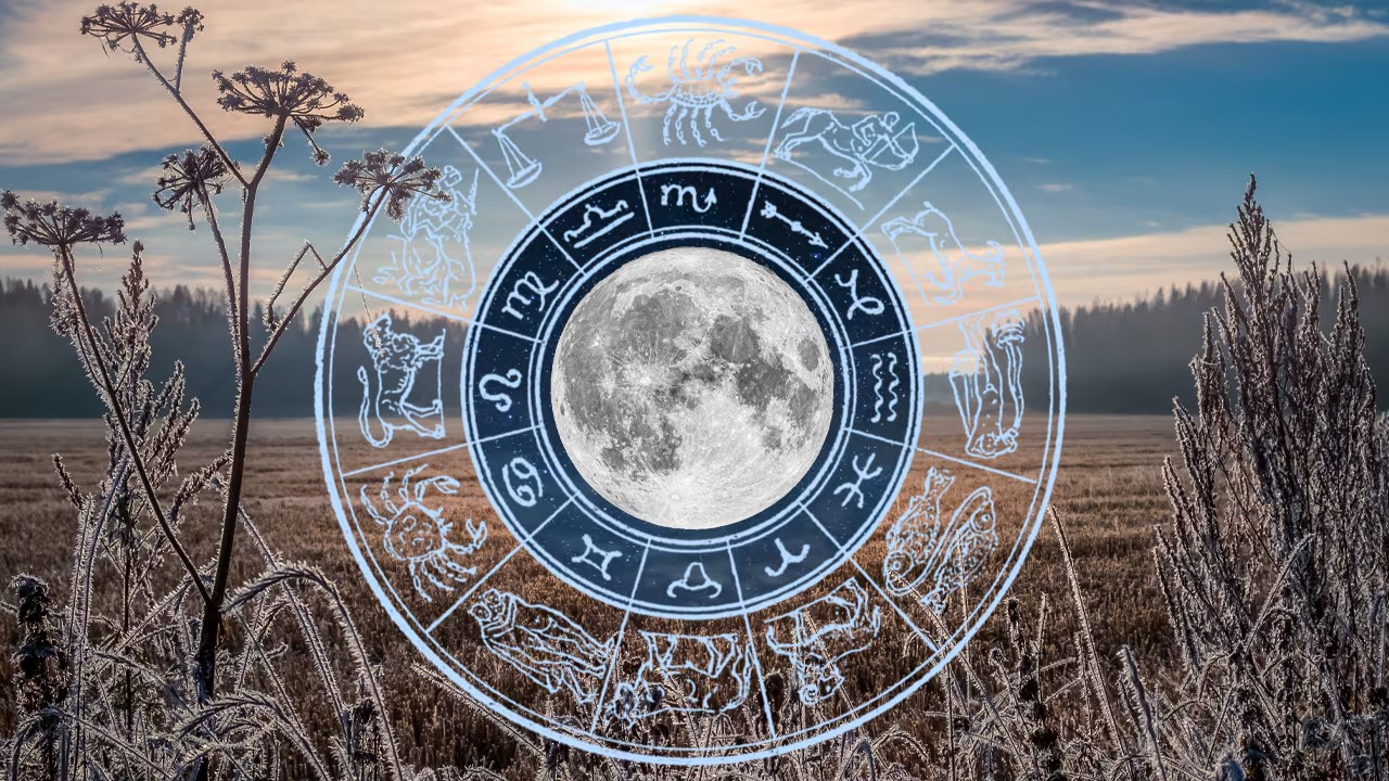 The three zodiac signs that have luck written on their foreheads in November 2025. Money flows in a cascade, and by the end of the year they collect a small fortune