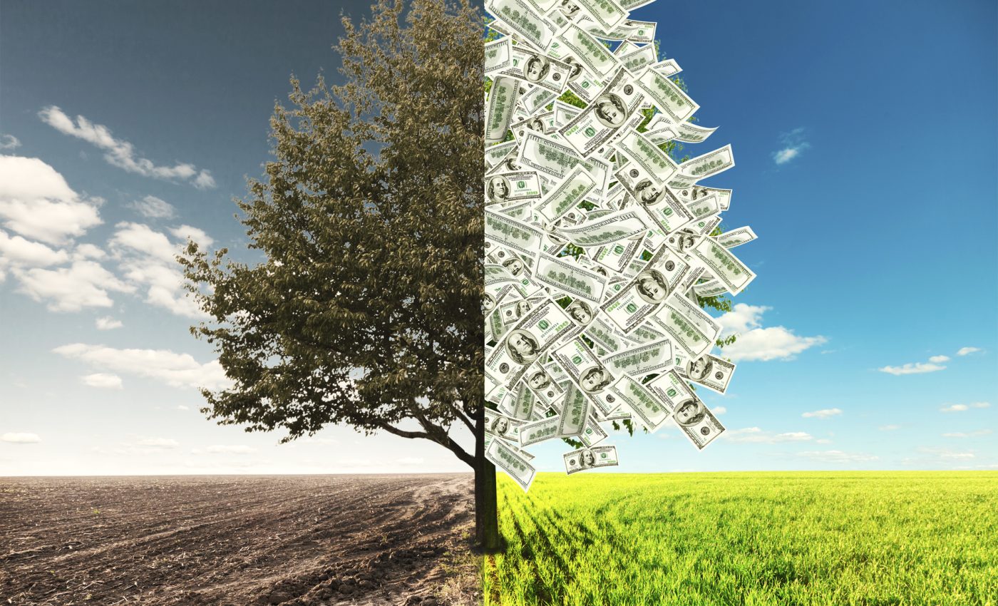 Karma of money. unconscious MONEY ZODIAC PATTERNS and the right "antidote" for them