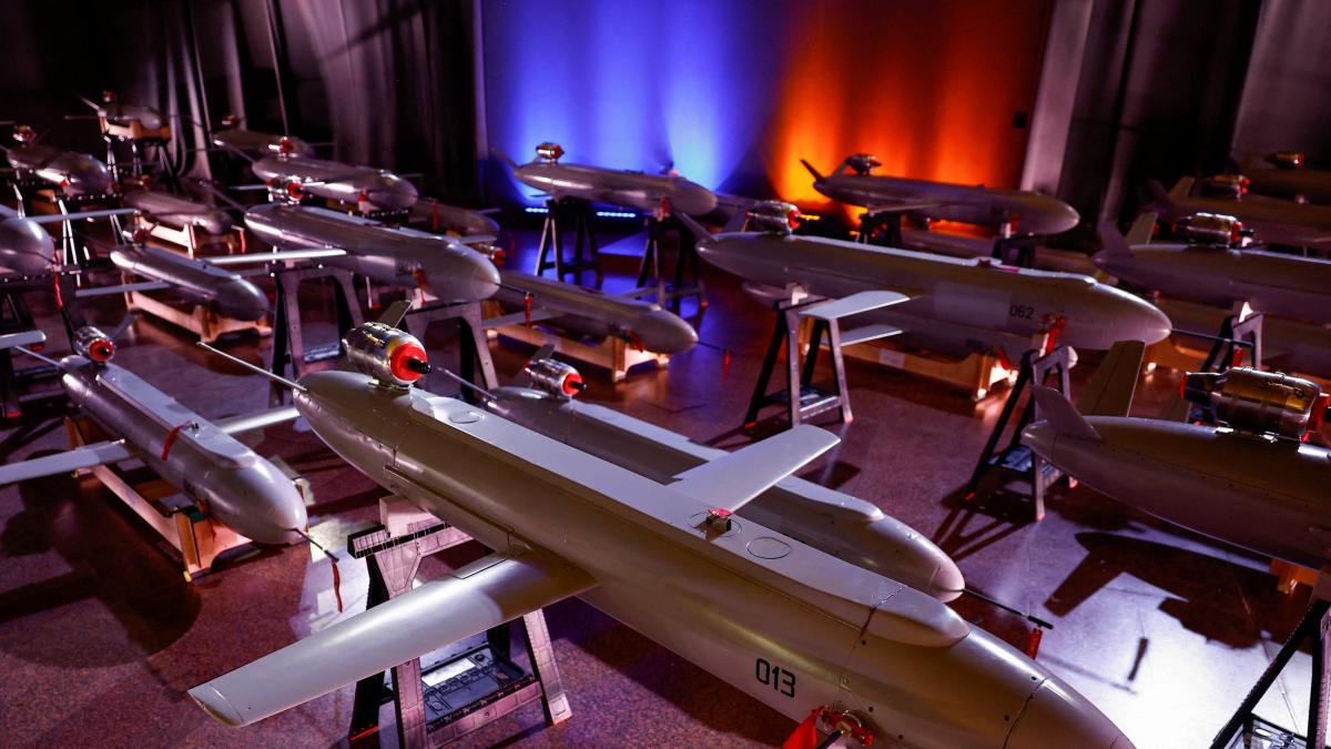 Ukraine is willing to share its drone knowledge to preserve food security and agriculture