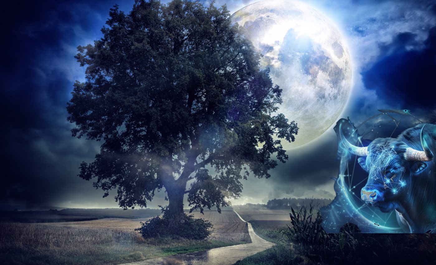 The second Super Moon in a series of three is coming up. What chapters the Full Moon in Taurus on November 5 closes in our lives