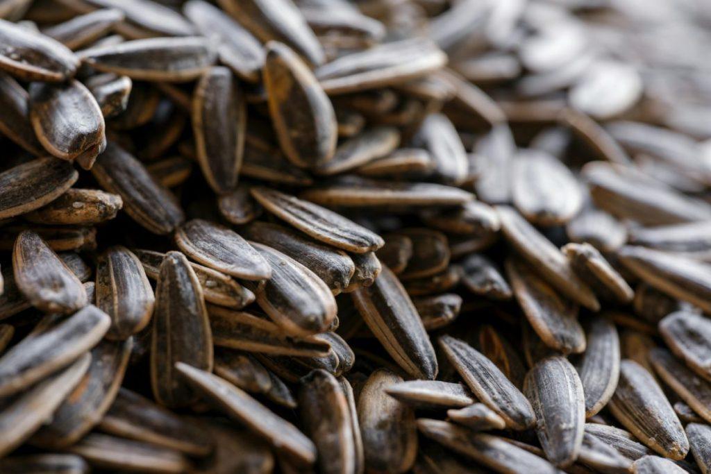 Pumpkin and sunflower seeds: protein