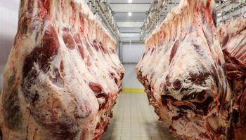 Driven by meat and soy, Acre has an increase in exports and achieves the best result in nine years