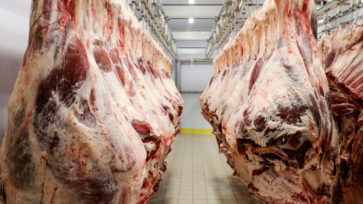 Driven by meat and soy, Acre has an increase in exports and achieves the best result in nine years