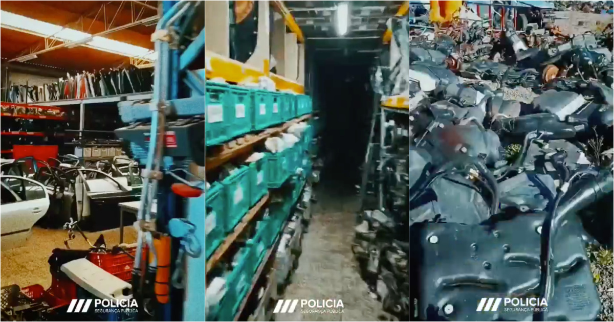 PSP operation puts an end to group dedicated to theft and dismantling of vehicles