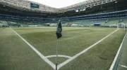 Palmeiras x Vitória AO VIVO: link para assistir online (19/11) image