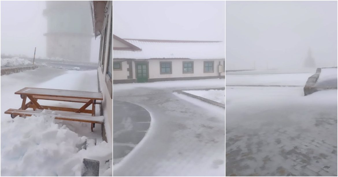 Serra da Estrela is already wearing white: snow forces the closure of roads
