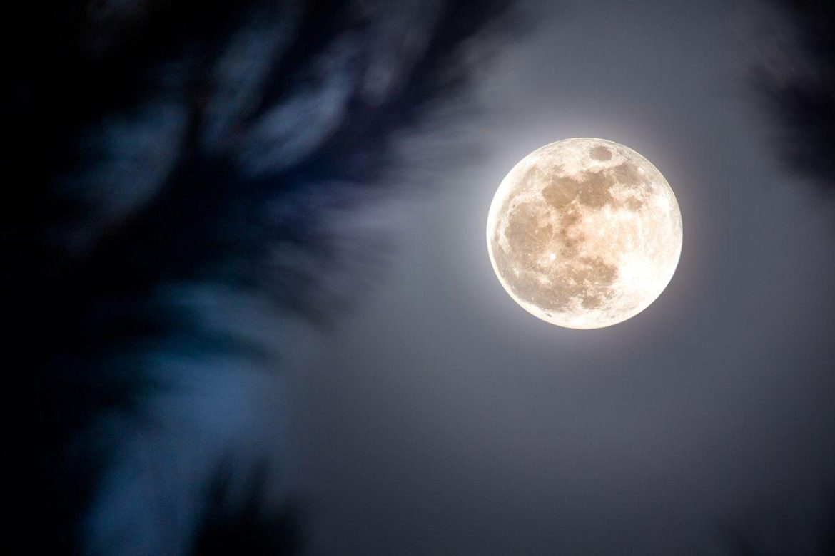 Supermoon in 2025 November 5 and its effect on the signs of the Zodiac
