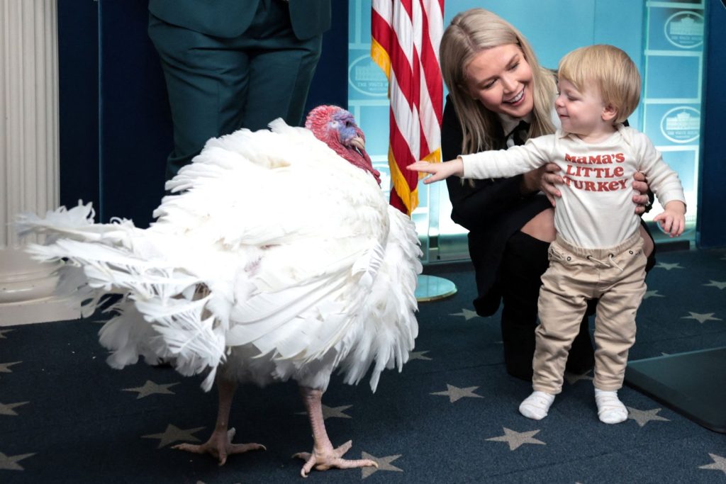 USA: The turkeys that survived the Thanksgiving dinner - Zelensky on the plate of the day?