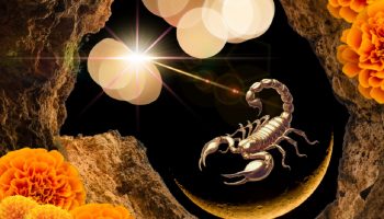 The New Moon in Scorpio on November 20th brings intense emotions and shocking revelations. How you are targeted according to your zodiac sign