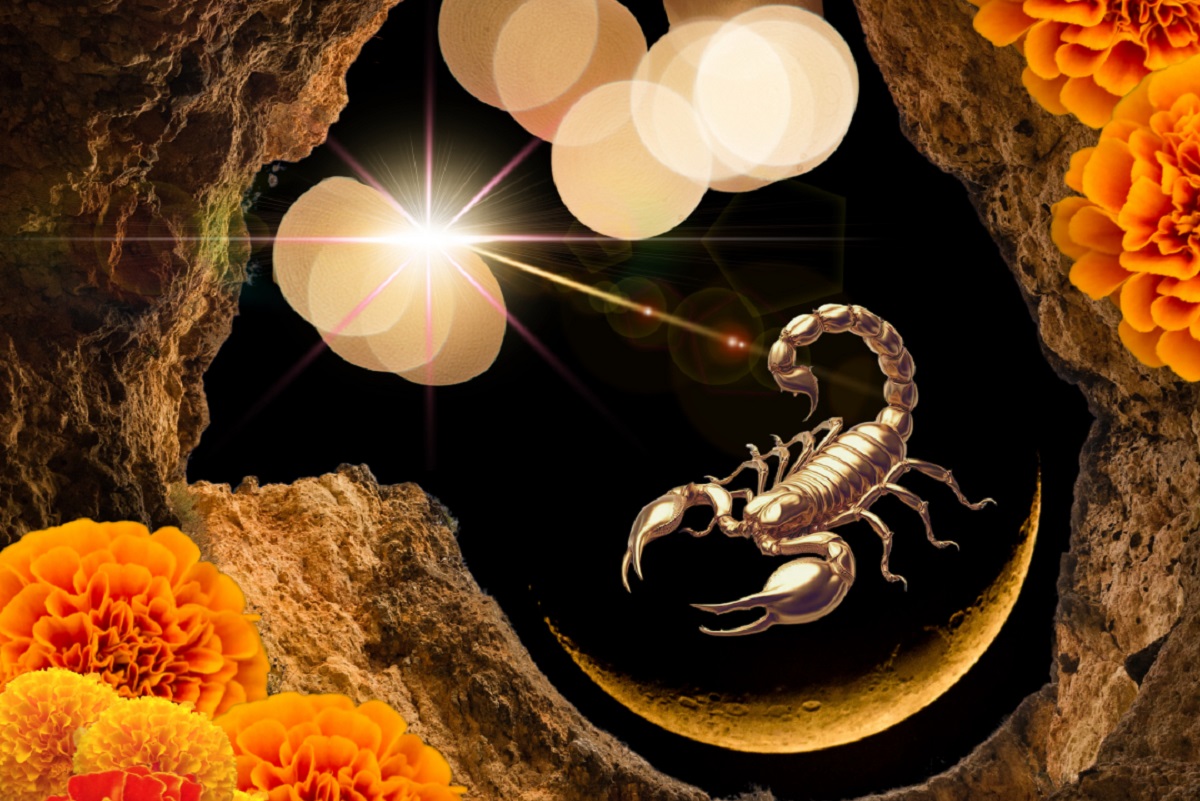 The New Moon in Scorpio on November 20th brings intense emotions and shocking revelations. How you are targeted according to your zodiac sign