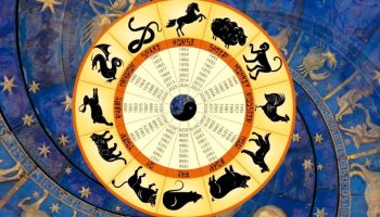 The Chinese zodiac signs that receive the gifts of the Universe at the end of November. Money, inspiration and relationships healed through the energy of the Wood Snake New Year