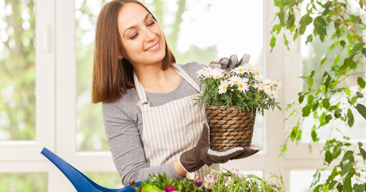 Not all plants like watering with tea. You can pour into these without any worries