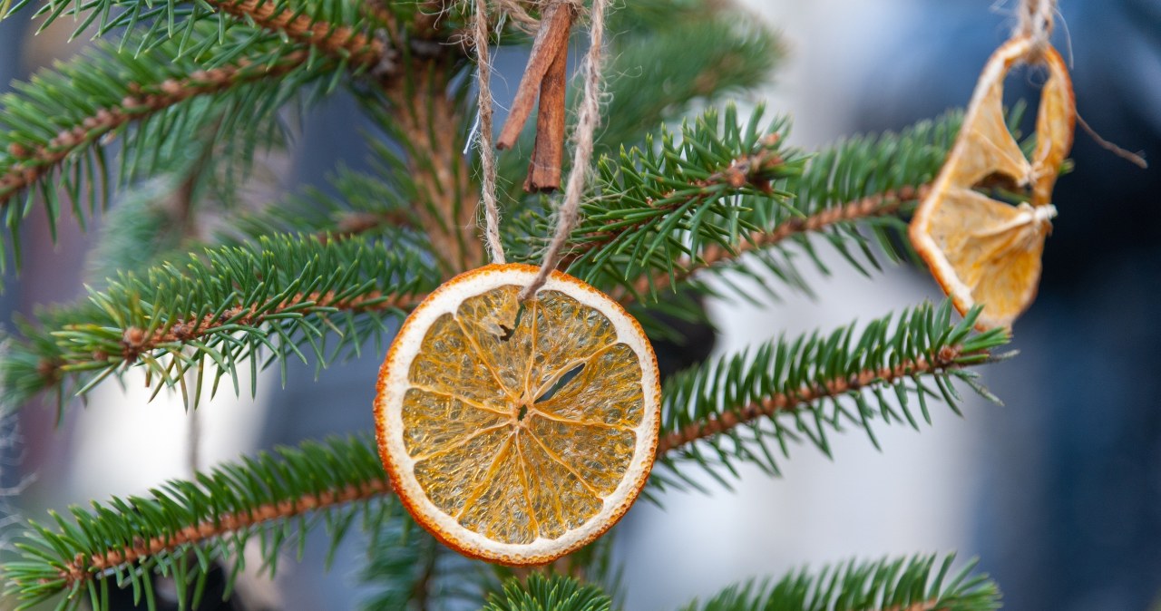 You can also hang citrus fruits in slices on the Christmas tree /Pixel